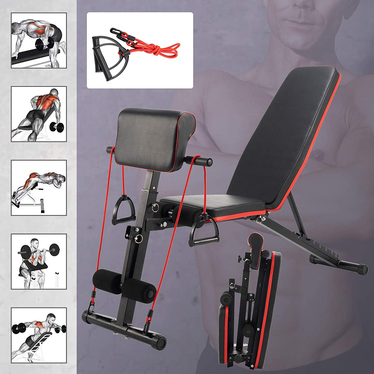 4-i-1 træningsbænk - Rygstrækker, biceps curl, mavebøjninger